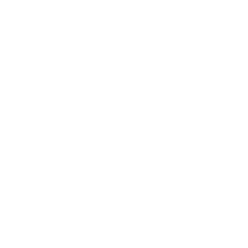 Christmas Light Installation